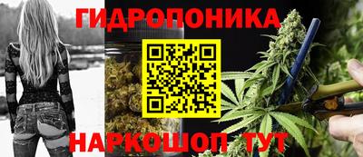 СК Обь