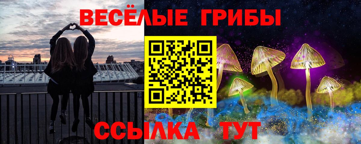 Псилоцибиновые грибы мицелий  Вход с VPN  Углич 